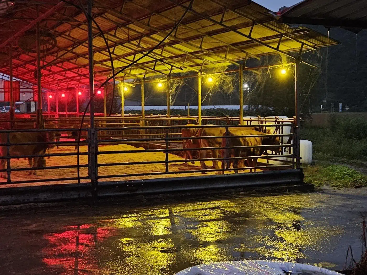 取り付け事例 _ 韓牛農家 (韓国横城)